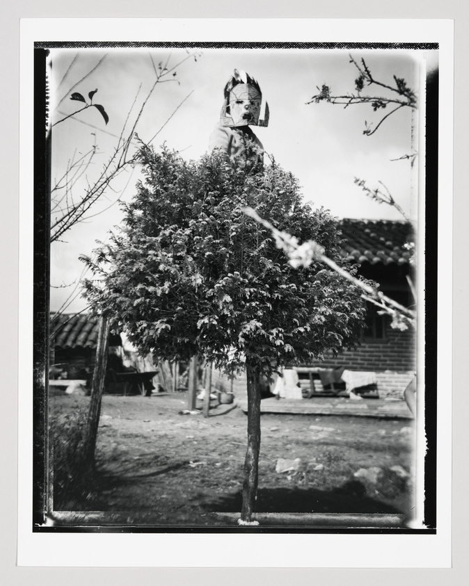 A black and white photograph depicting a lush, leafy tree in the foreground with a person's face partially obscured behind it. The background features a rural setting with a simple brick house and some outbuildings under a cloudy sky. The edges of the photo include the black border of the film negative.