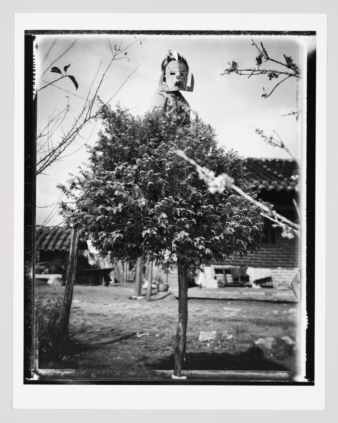 A black and white photograph depicting a lush, leafy tree in the foreground with a person's face partially obscured behind it. The background features a rural setting with a simple brick house and some outbuildings under a cloudy sky. The edges of the photo include the black border of the film negative.