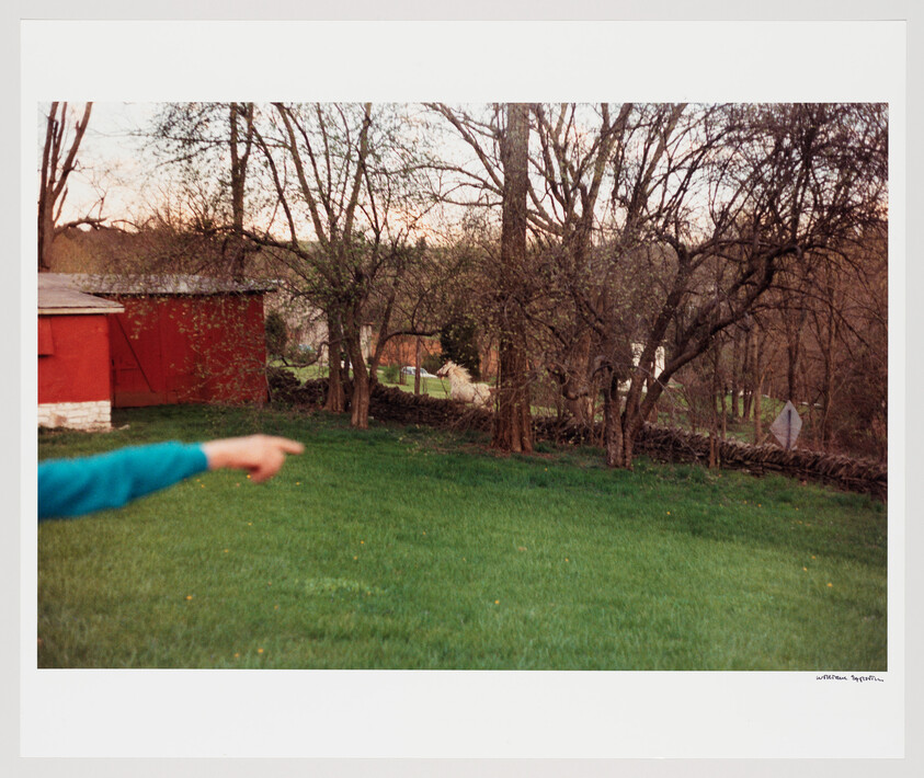 A person points toward a grassy yard with a red barn and leafless trees.