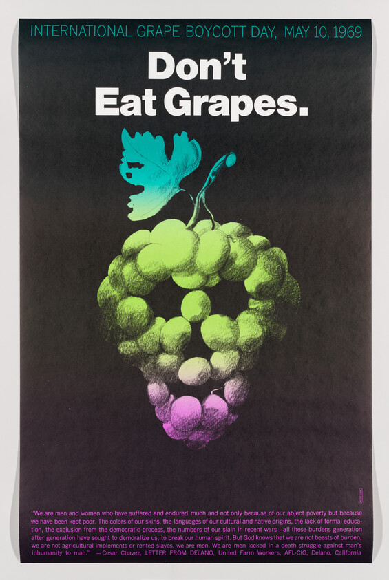 This image features a poster from the International Grape Boycott Day, dated May 10, 1969, with the bold statement "Don't Eat Grapes." The poster has a stylized illustration of a grape cluster in shades of green and purple, with a leaf and vine visible at the top. The background is black, and there is a quote at the bottom from Cesar Chavez, referencing the struggles and humanity of men and women, from a letter from Delano by the United Farm Workers, AFL-CIO, Delano, California.