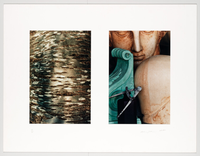 Two-panel composition with textured birch bark on left and sculpted heads with measuring calipers on right.