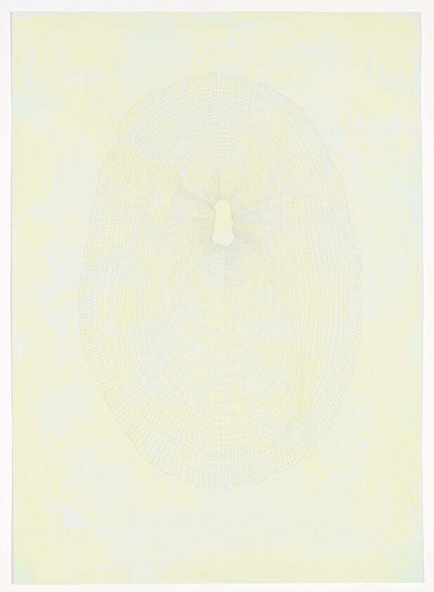 Large pale oval with fine concentric lines and a small central keyhole-shaped opening on a light background.