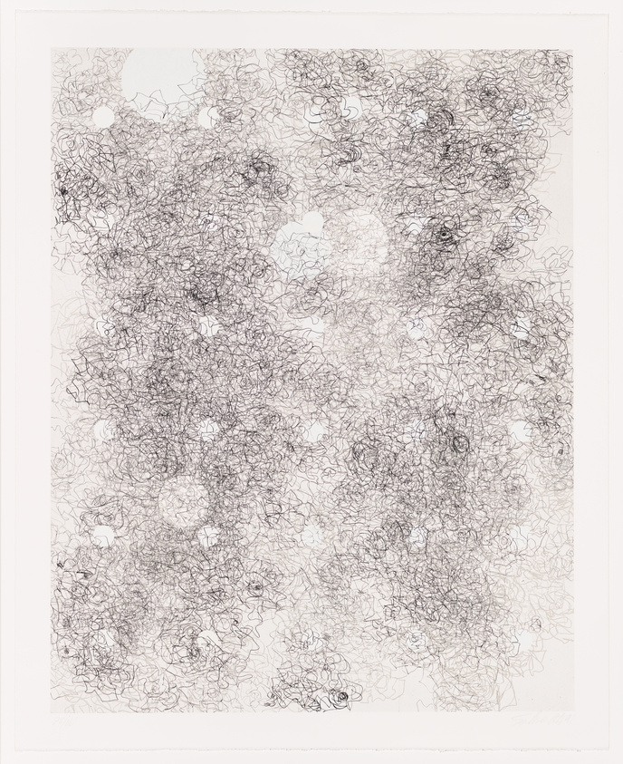 A detailed, intricate drawing featuring a dense array of interwoven lines and shapes that resemble organic forms or floral patterns, with several white, unmarked areas interrupting the complex design on a vertical rectangular canvas.