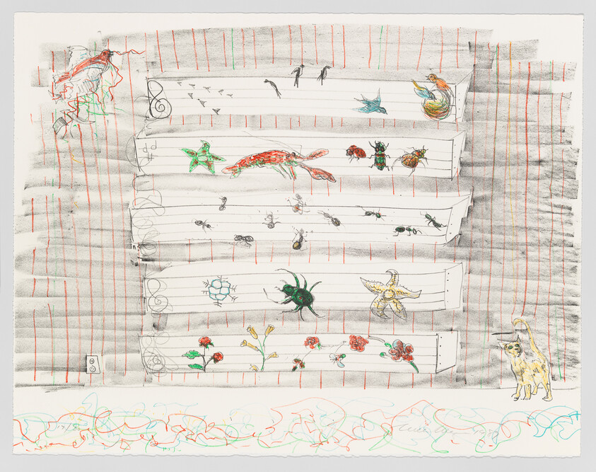 Rows of illustrated shelf boxes filled with insects, sea creatures, flowers, and a cat nearby.