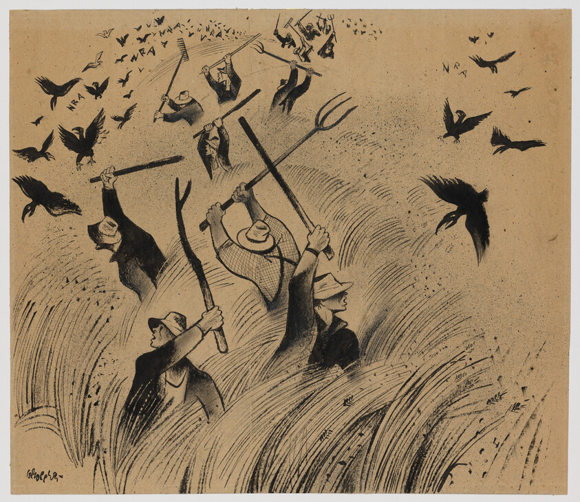 Farmers in hats beat sticks and pitchforks to drive flocks of crows from the field.