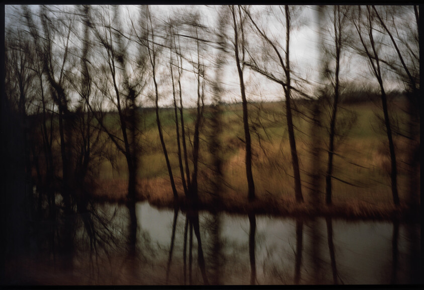 Tall bare trees blur and reflect in a calm river beside a grassy hillside.