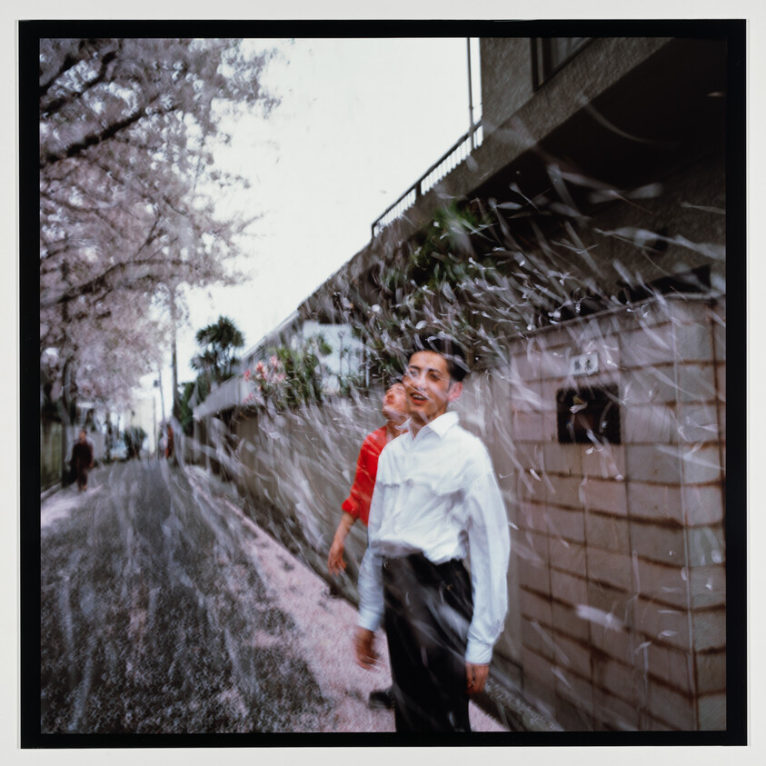 Two men stand on a cherry-lined street as petals swirl around them.