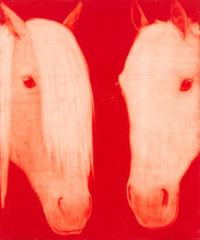 Two white horse heads face forward against a bold red background, showing calm expressions.