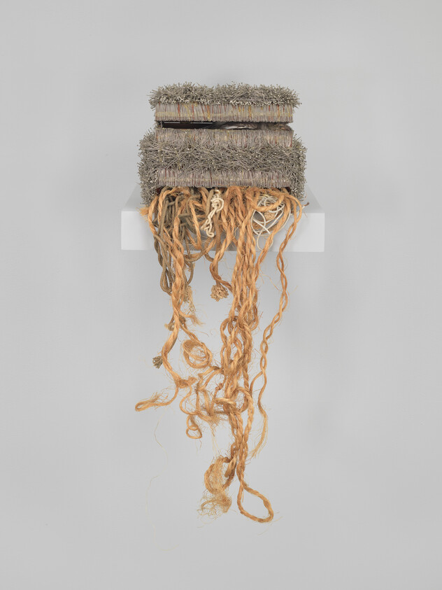 Two textured books with long, tangled fibers hanging down from a white shelf.