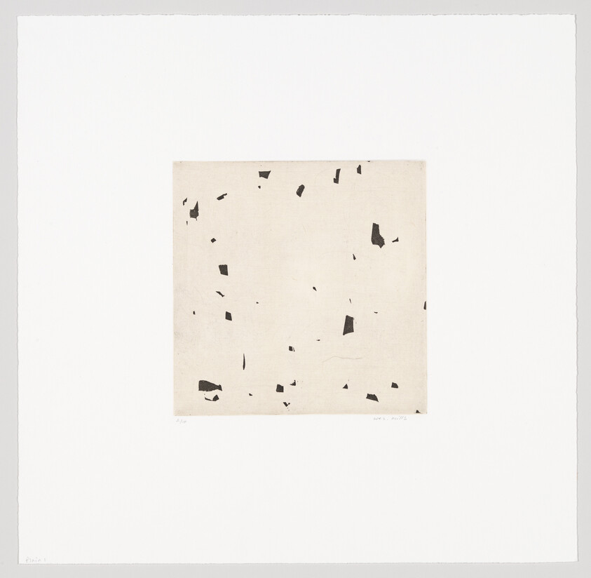 Centered faded square with scattered small black shapes on an off-white background, surrounded by wide white margins.