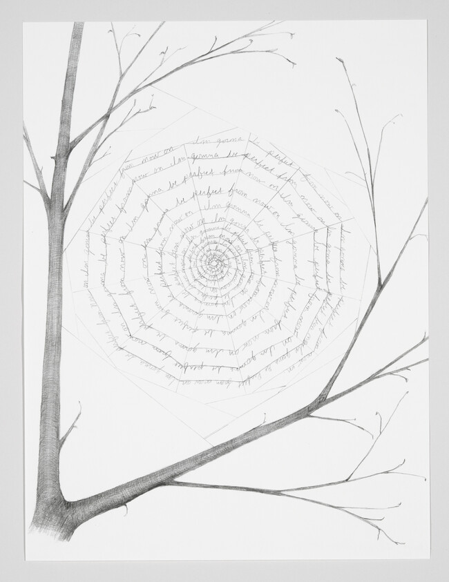 A pencil drawing of a bare tree branch with a detailed spider web in the background. The web has text written in concentric circles, starting from the center and spiraling outwards.
