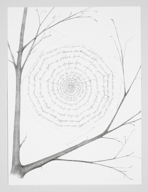 Pencil drawing of a spiderweb with spiral handwritten text suspended between bare tree branches.