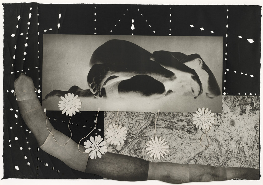 A reclining figure in a photographic negative sits above a collage of a long leg and daisies.