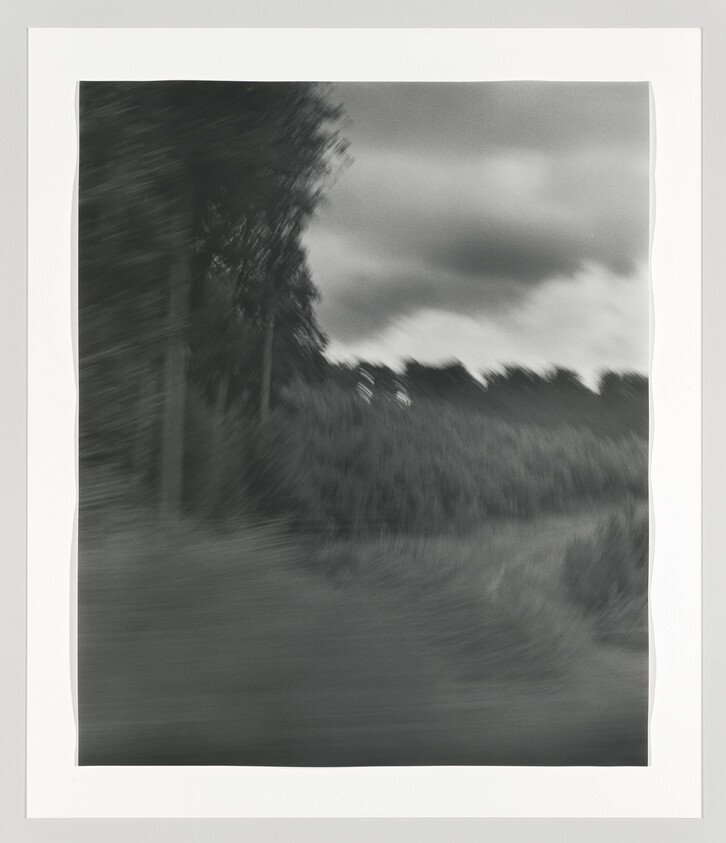Blurred black-and-white landscape showing trees, tall grass, and a cloudy sky with motion blur.