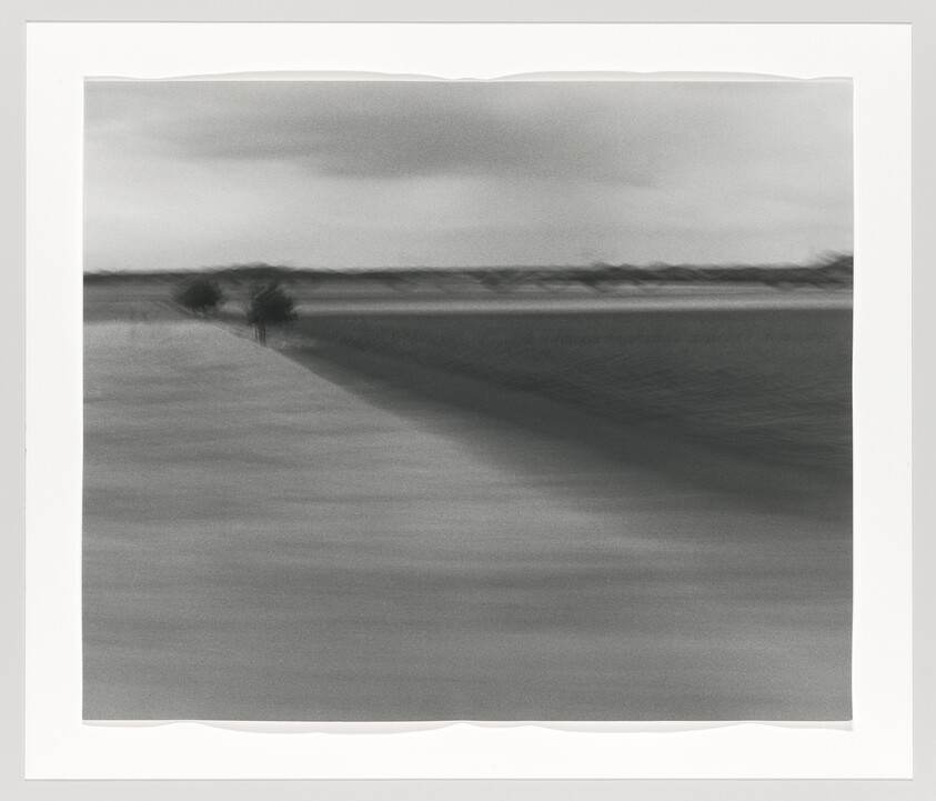A blurred black-and-white shoreline with two small trees and a long shadowed sandbank.