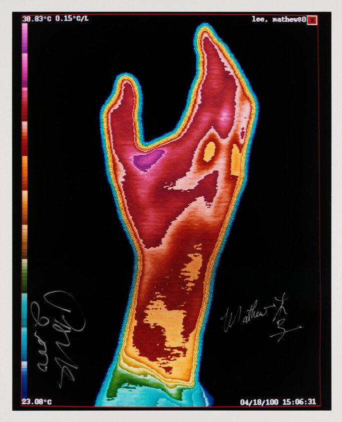 A thermal image displaying a range of colors from blue to red, indicating temperature variation, shaped like a hand with fingers extended. The image includes a scale with temperatures, signatures at the bottom, and a digital interface frame with a username in the top right corner.