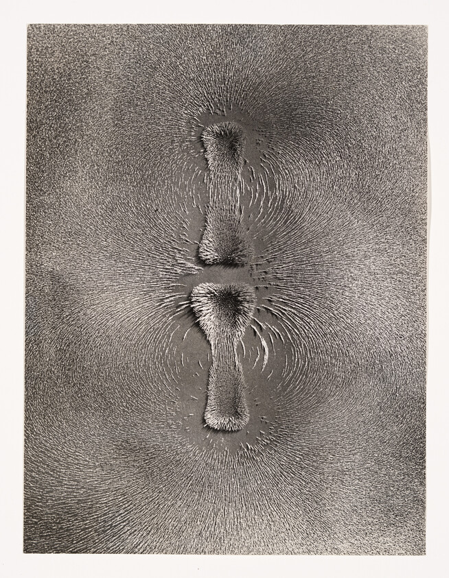 Iron filings forming concentric magnetic field patterns around two aligned bar magnet poles.