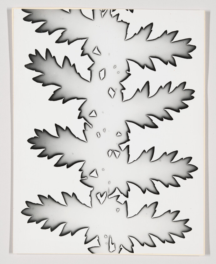 Layered stencil of symmetrical fern-like leaves with soft black burnished edges on white paper.