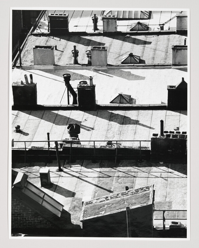 Flat urban rooftops with chimneys, vents, and long shadows across the surface.