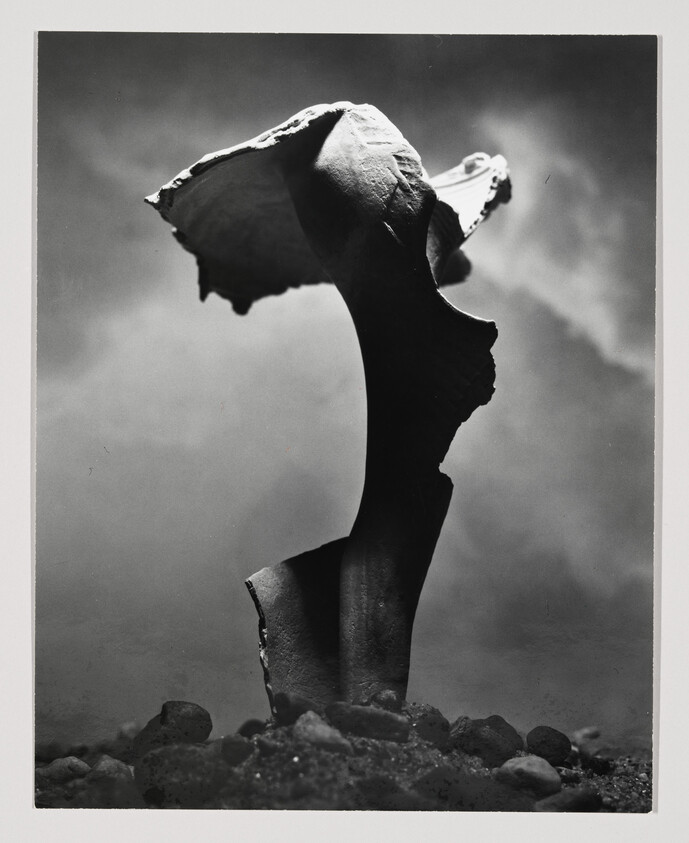 A black and white photograph depicting a single mushroom with a prominent, curved cap and a slender stem, rising from a ground scattered with small rocks. The background is a soft, out-of-focus gradient, giving the image a moody atmosphere.