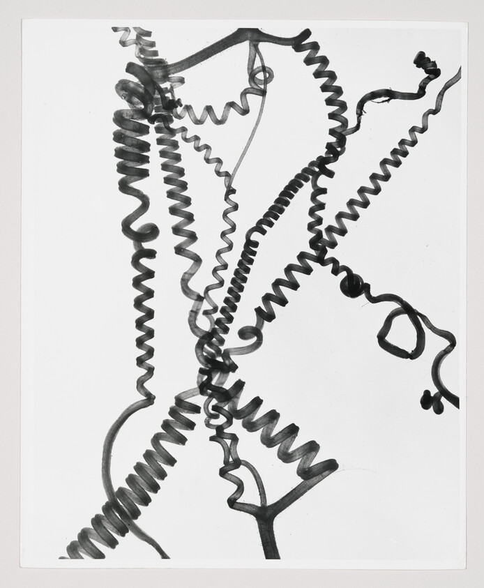 Black spiral cords twist and coil in various directions across a white background.