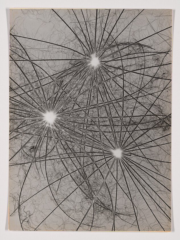 Three bright starburst points connected by a dense web of thin radiating lines across the page.