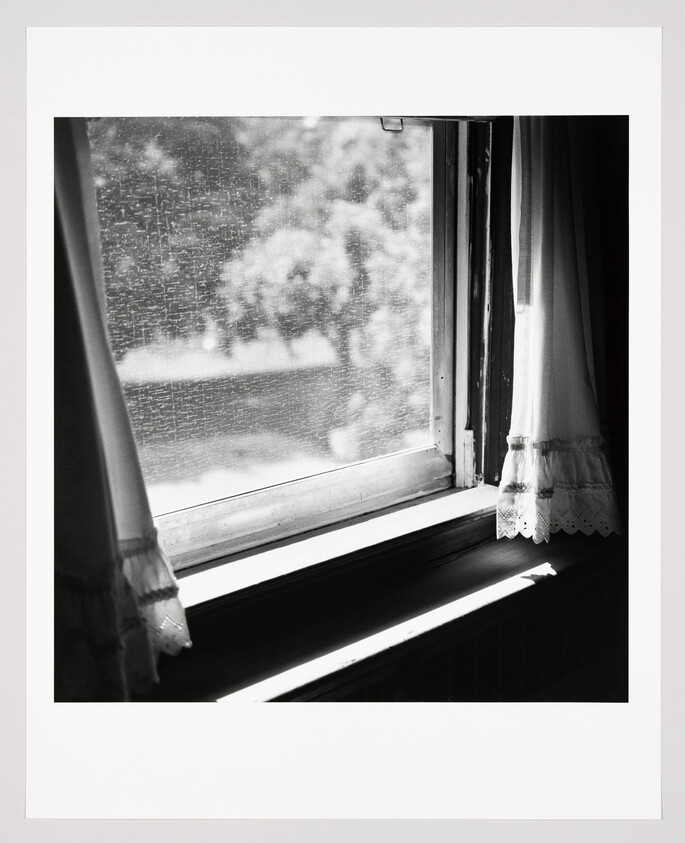 Sunlight streams through a slightly open window with lace curtains and dusty glass.
