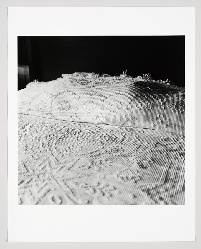 A close-up of a textured, patterned bedspread and pillow with raised stitching.