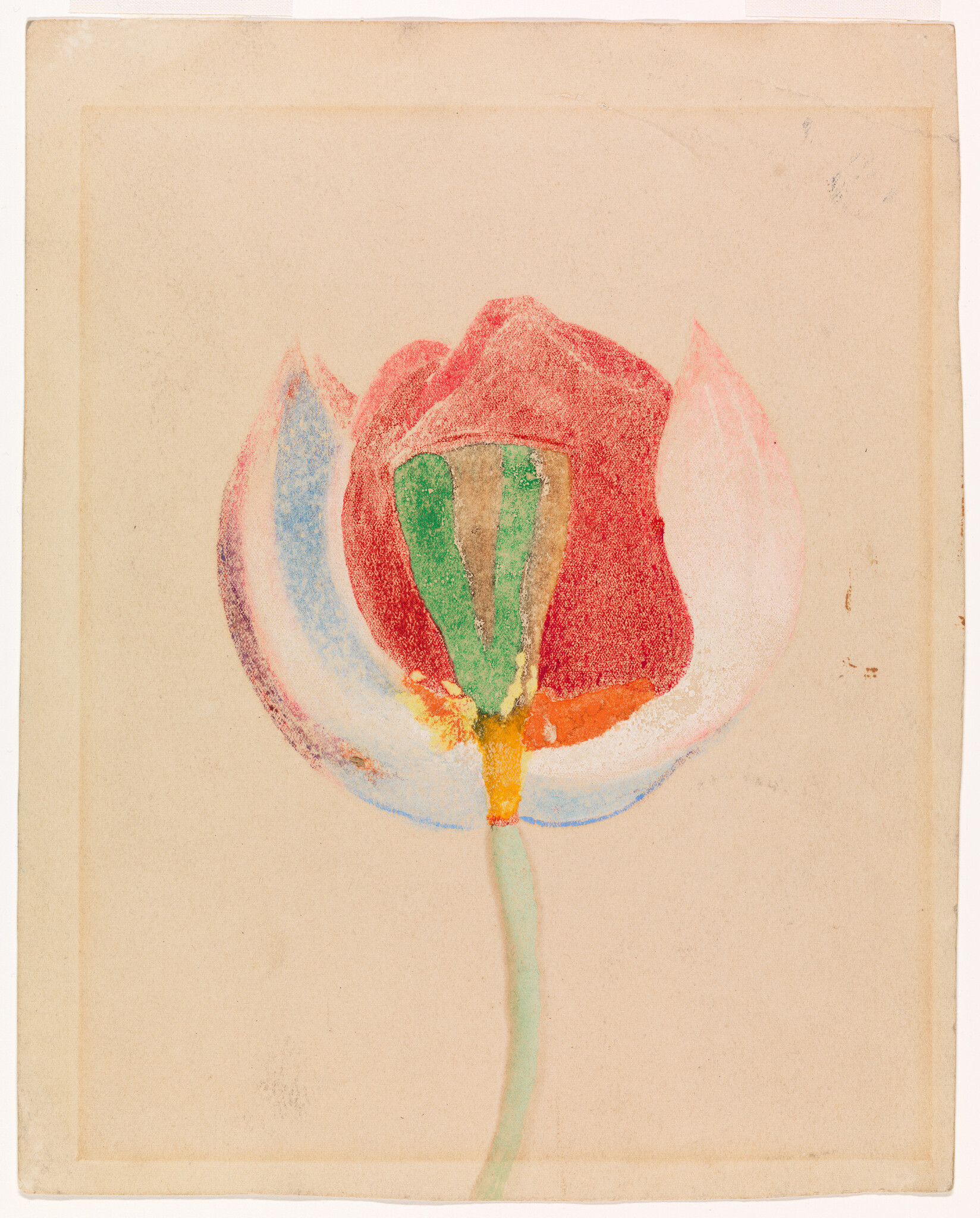 A simple pastel drawing of a single tulip with red petals and a green center.