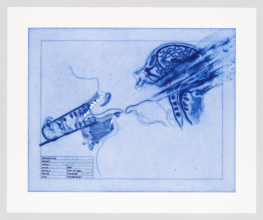 Two blue anatomical side profiles show a jaw with teeth and tongue reaching toward a brain-filled skull.