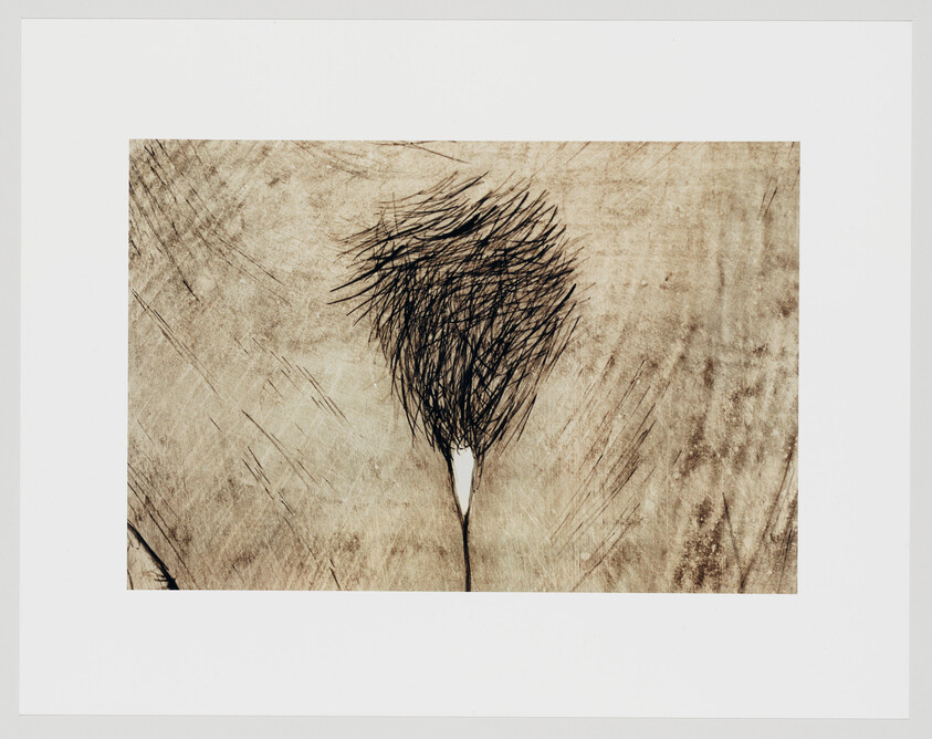 A single dark, scribbled tree-like tuft rises from a thin stem against a scratched beige background.