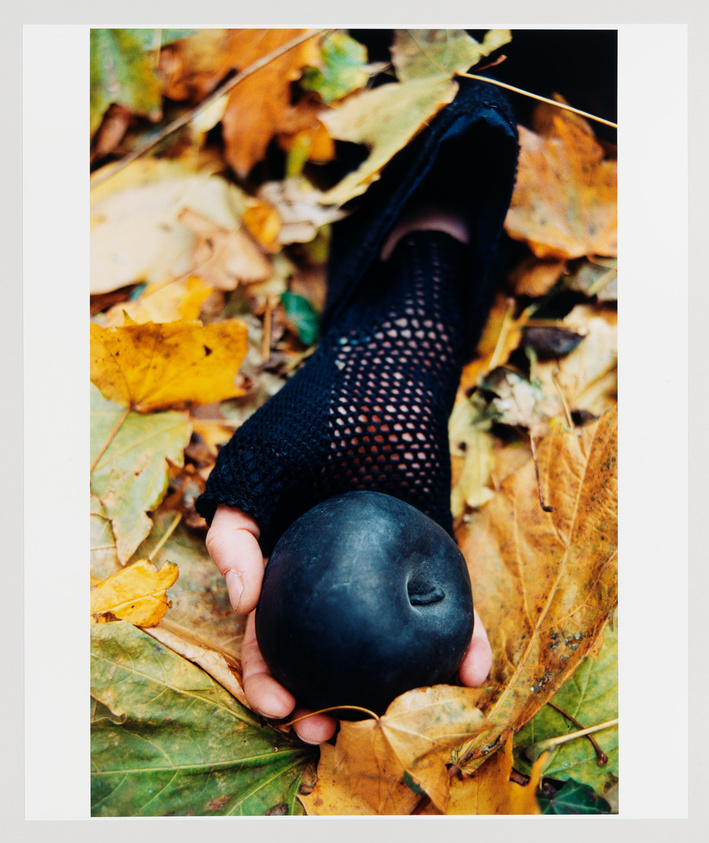 A hand in a black mesh fingerless glove lays in a pile of fall leaves with a black apple-like fruit in its palm.