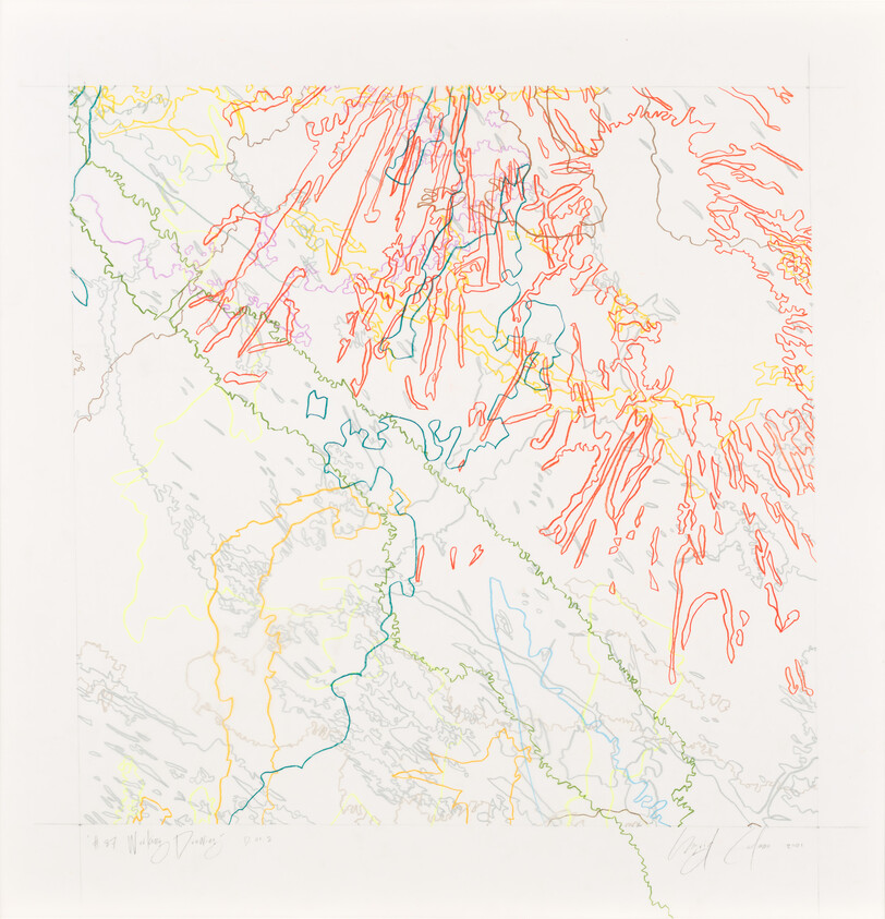 Colored contour lines and abstract topographic shapes forming a map-like pattern across a white background.