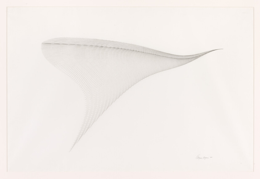 A delicate curved mesh of fine gray lines forming a wing-like sail across a pale background.