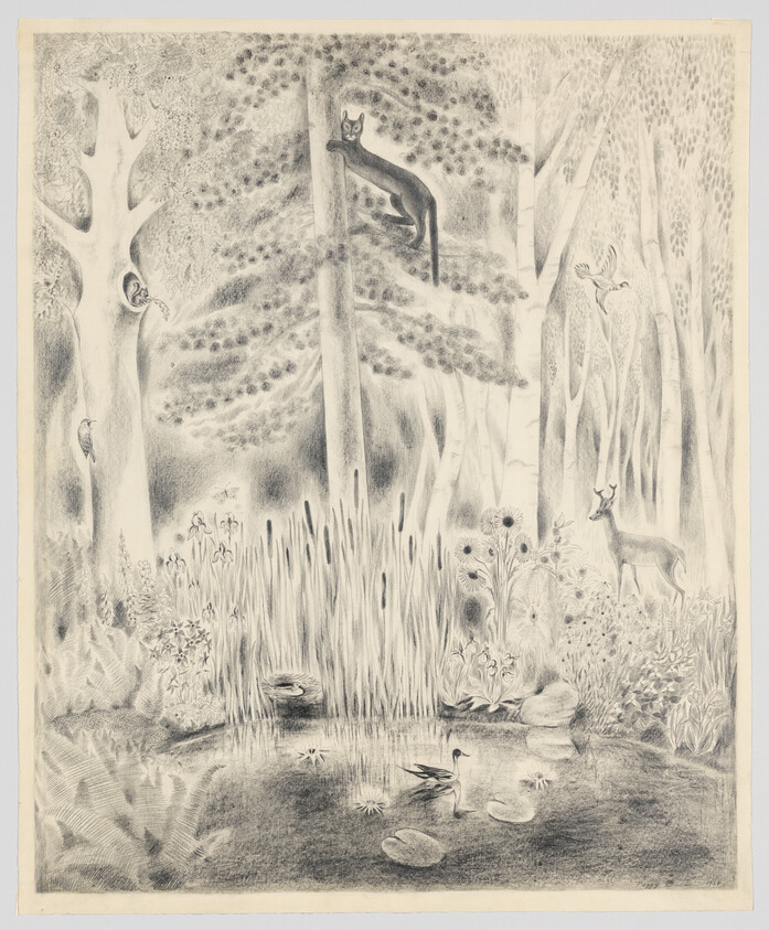 A forest clearing with a large cat perched in a tree watching ducks on a small pond.