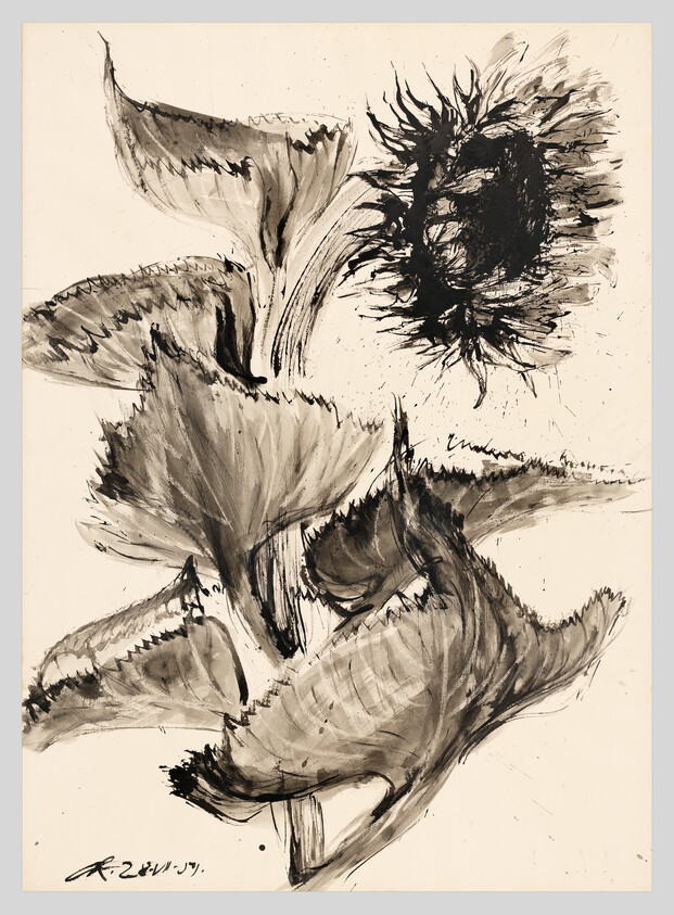 Bold ink sketch of large wilting sunflower and leaves with expressive strokes.