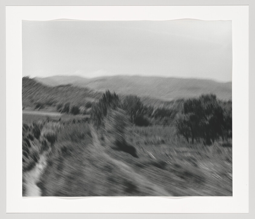 Blurry black-and-white landscape showing rolling hills and scrubby bushes in the foreground.