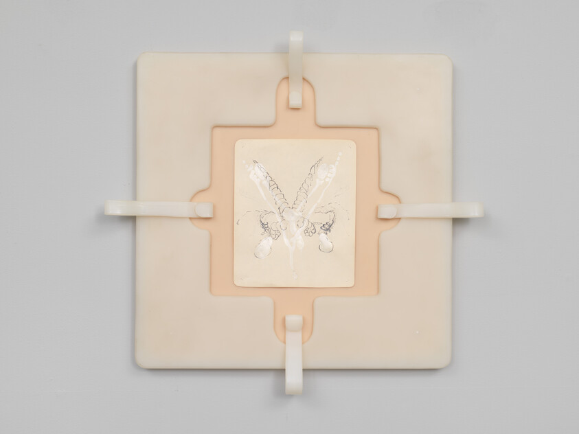 A square beige panel held by four white clips with a small insect sketch in the center.