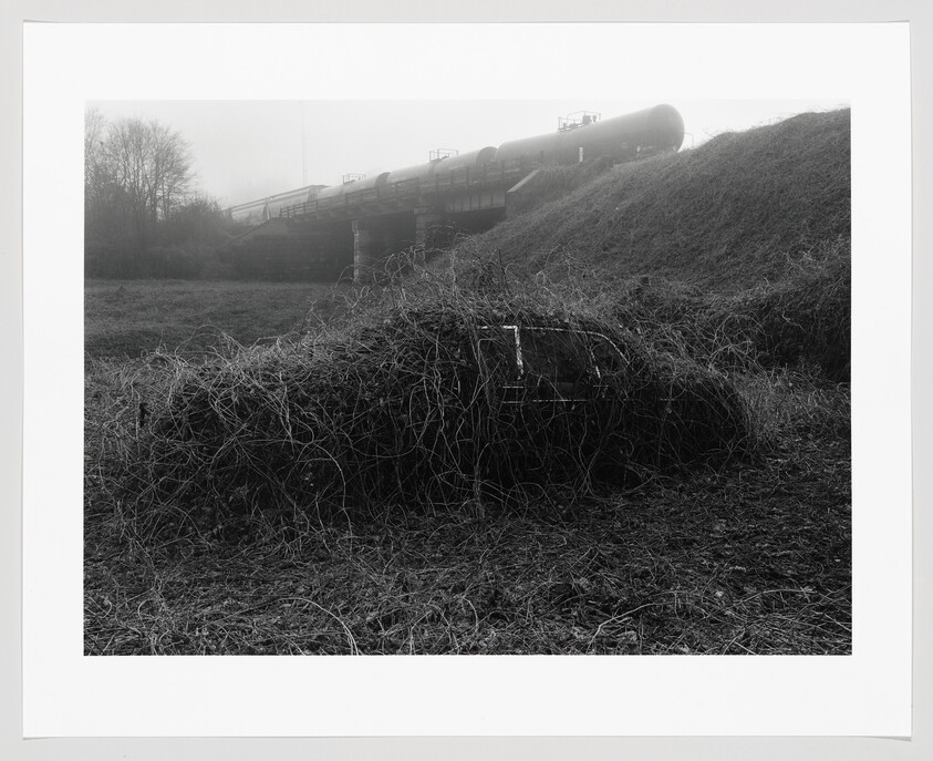 A tangled mound of vines covers a low structure in a field with tank train cars on a bridge.