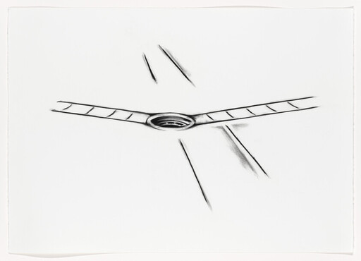 Conor McGrady | Whitney Museum of American Art