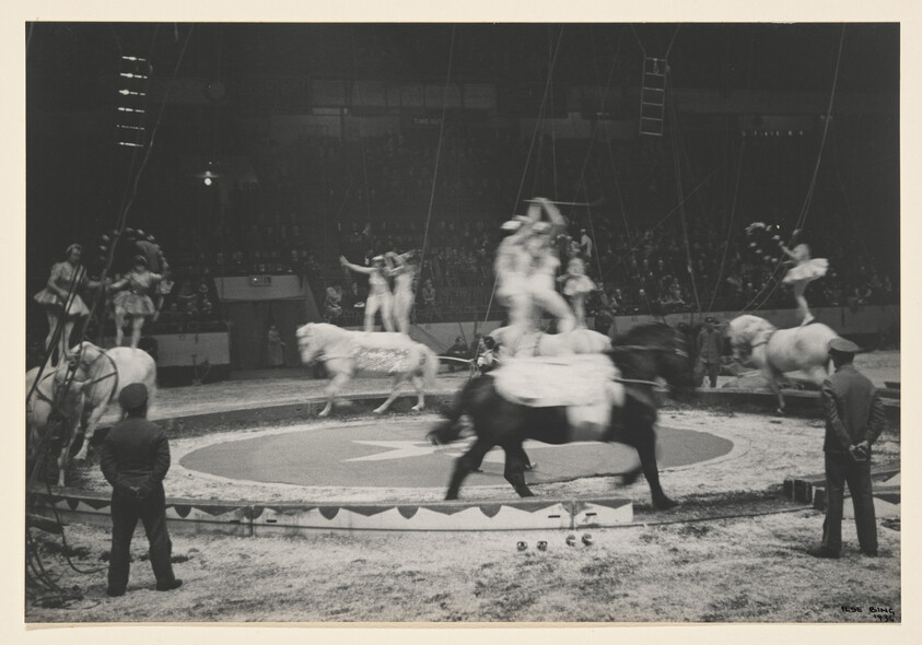 Acrobats and riders perform atop galloping horses in a circus ring while attendants watch.