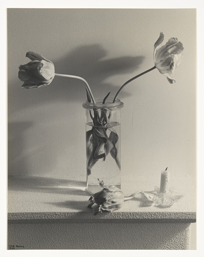 Three wilted tulips, two leaning from a glass vase and one fallen on the table beside a candle.