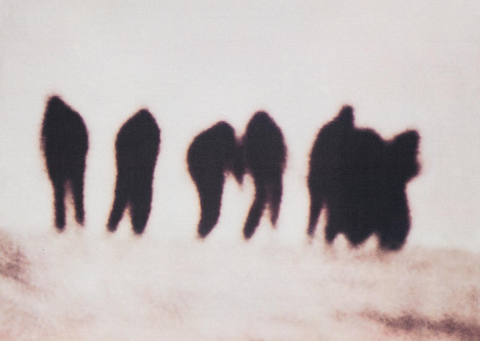 Five dark cat silhouettes stand in a row on a pale, grainy background.