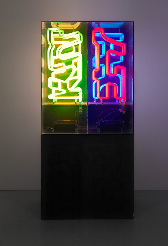 Two colorful neon signs in a glass case sit atop a black pedestal.