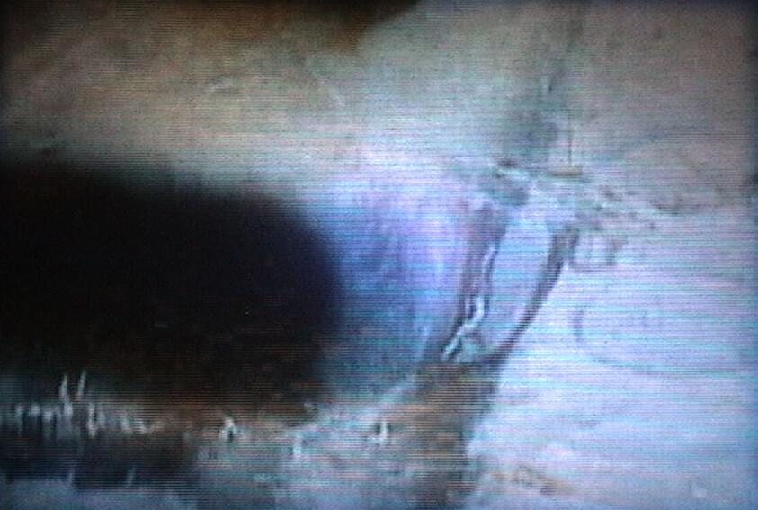 A blurry, grainy scene showing a person diving into dark water near a shoreline.