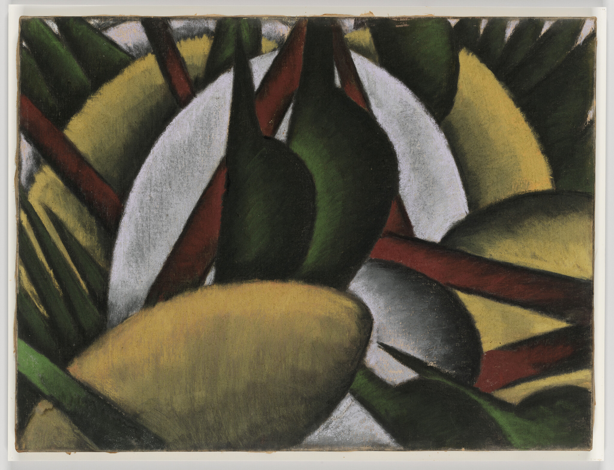 Overlapping curved green, yellow, white, and red shapes suggest abstract leaves and fruit.