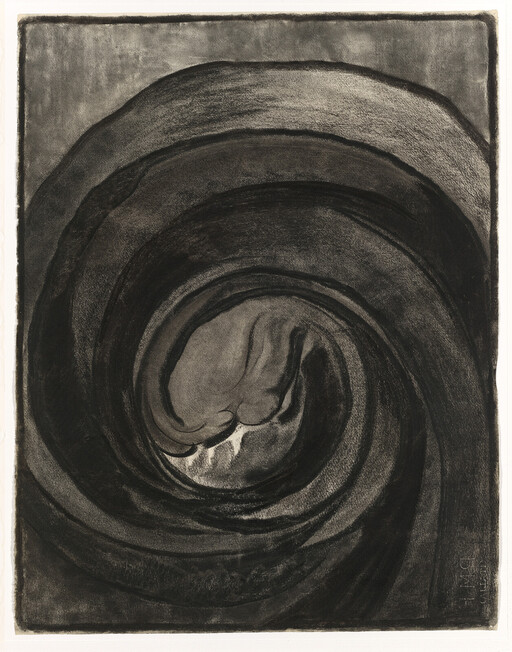 A curled, abstract shape resembling a spiral or vortex, with dark and light shading creating a sense of depth.