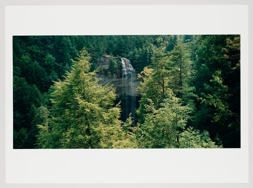 A serene waterfall cascades down a rocky cliff surrounded by lush green forest.