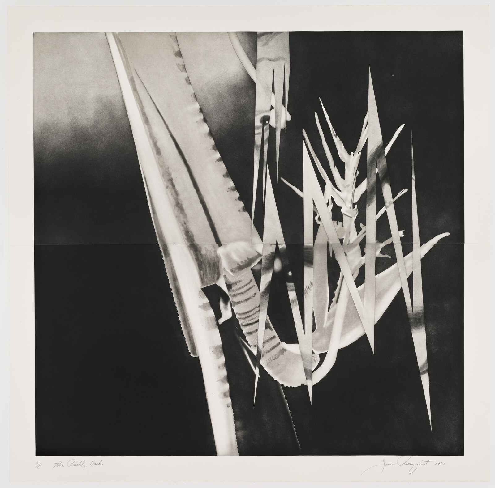 Large black-and-white abstract plant leaves and sharp triangular slashes creating a fragmented composition.