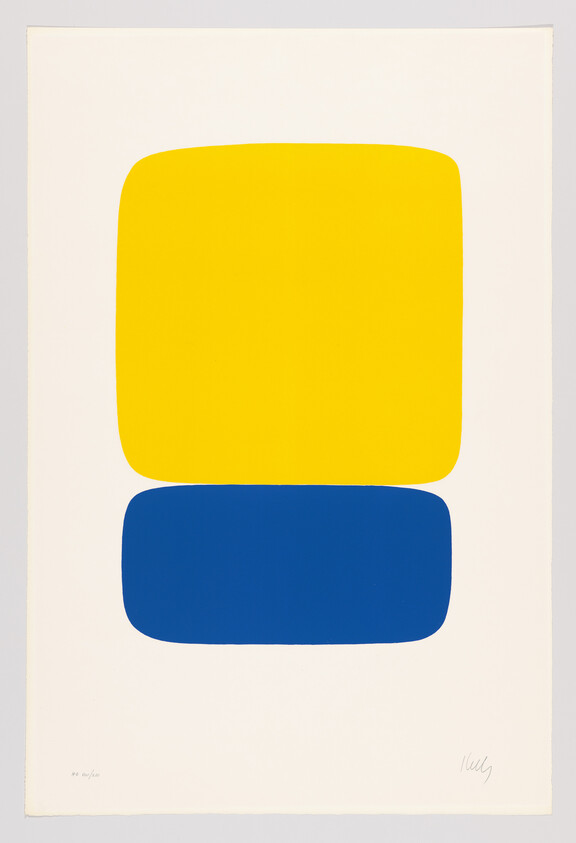 Stacked yellow and blue rounded rectangles centered on a white background, minimalist composition.